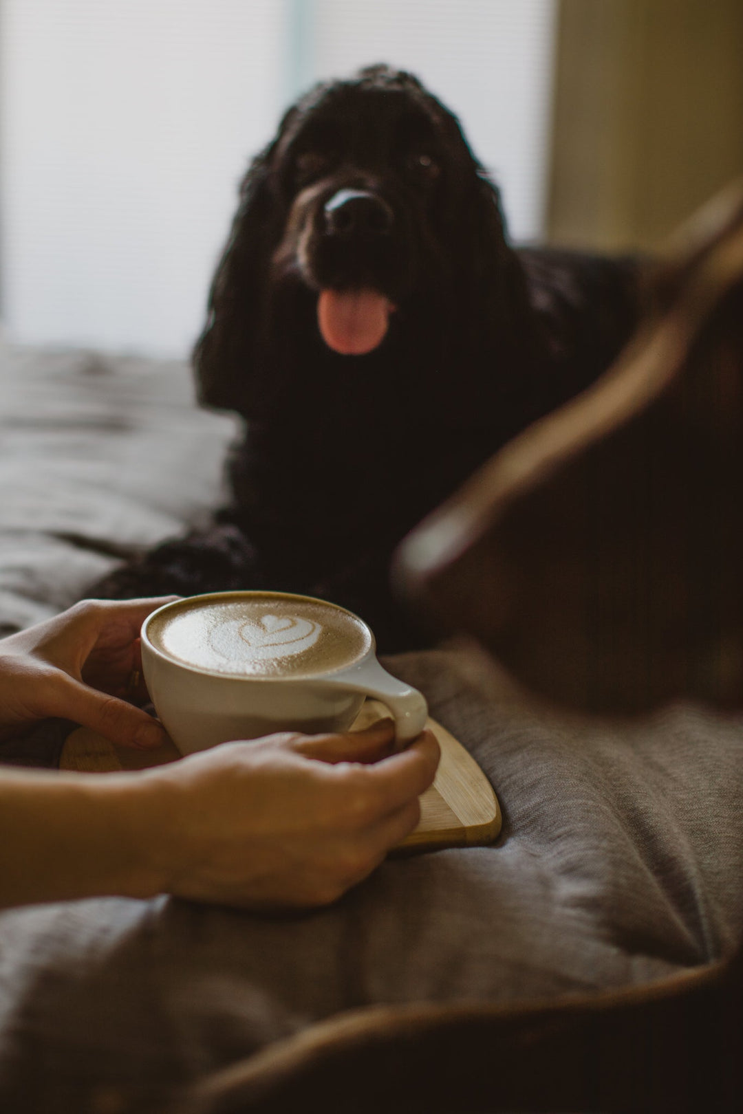 Sip and Support: Be Good Coffee Co. Brings the Perfect Blend of Delicious Coffee and Dog Rescue Support - Be Good Coffee Co.